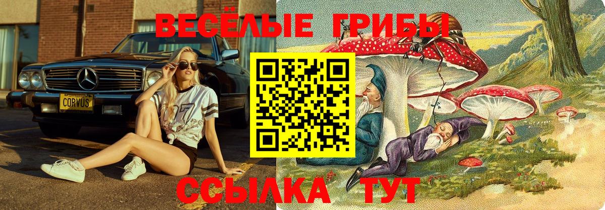 Галлюциногенные грибы Psilocybe  купить наркотики сайты  Галлюциногенные грибы мицелий  Кандалакша  Вход с VPN 