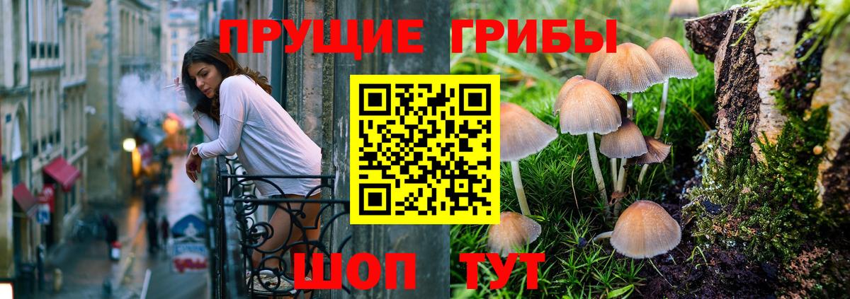Галлюциногенные грибы Psilocybe Кандалакша